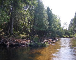In-stream habitat improvement