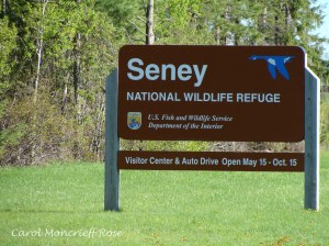 Seney sign