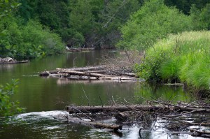 UBRC in-stream structures - Photo by Dave Kenyon