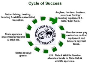Cycle_of_success_Poster